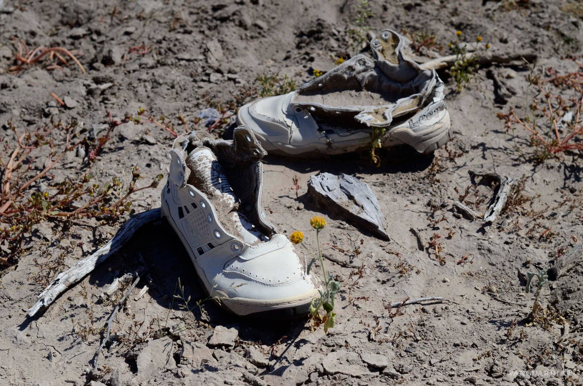 $!Patrocinio, Coahuila: el cementerio de los Zetas del que nadie dijo nada