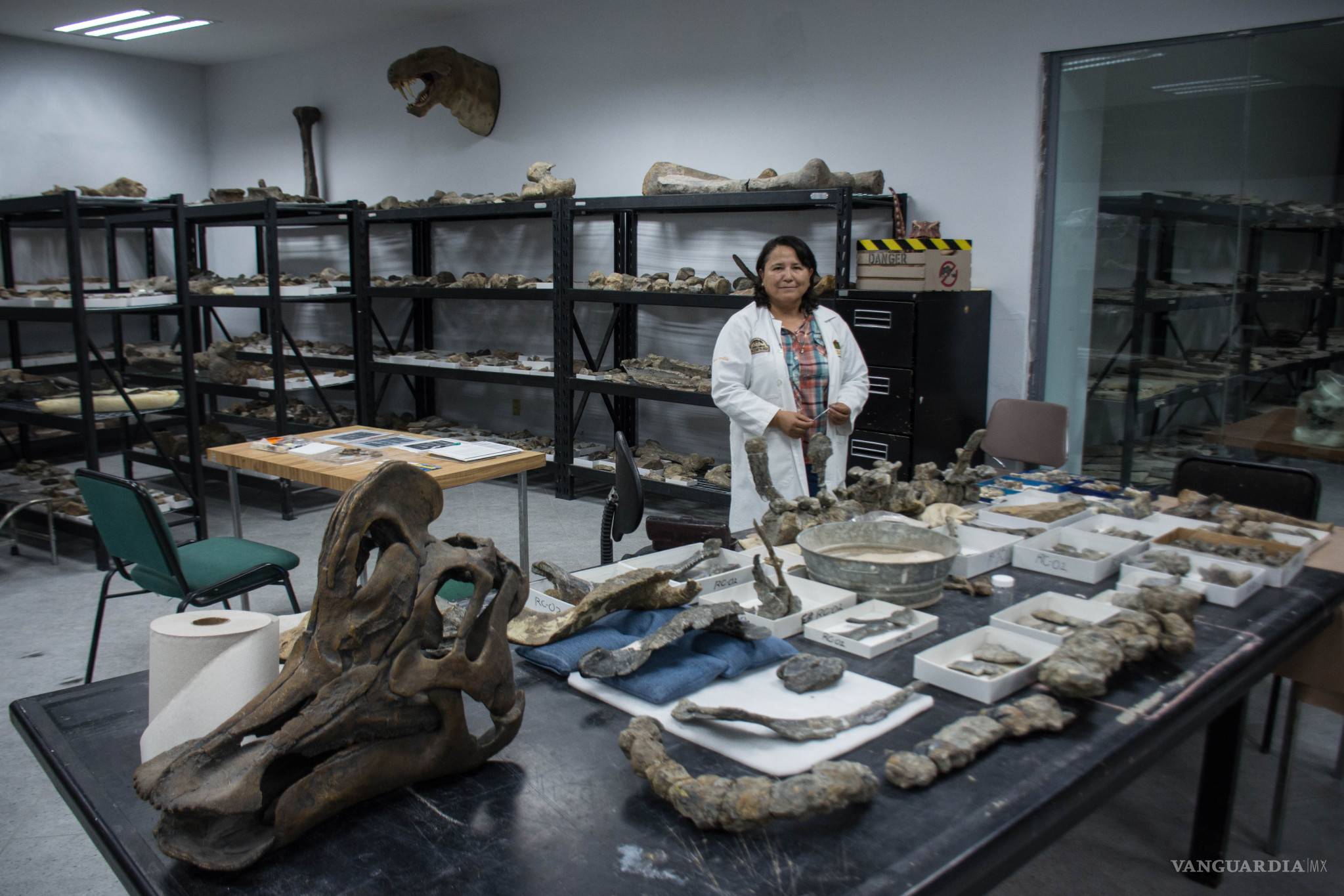 $!Saltillo, antes de ser Saltillo...