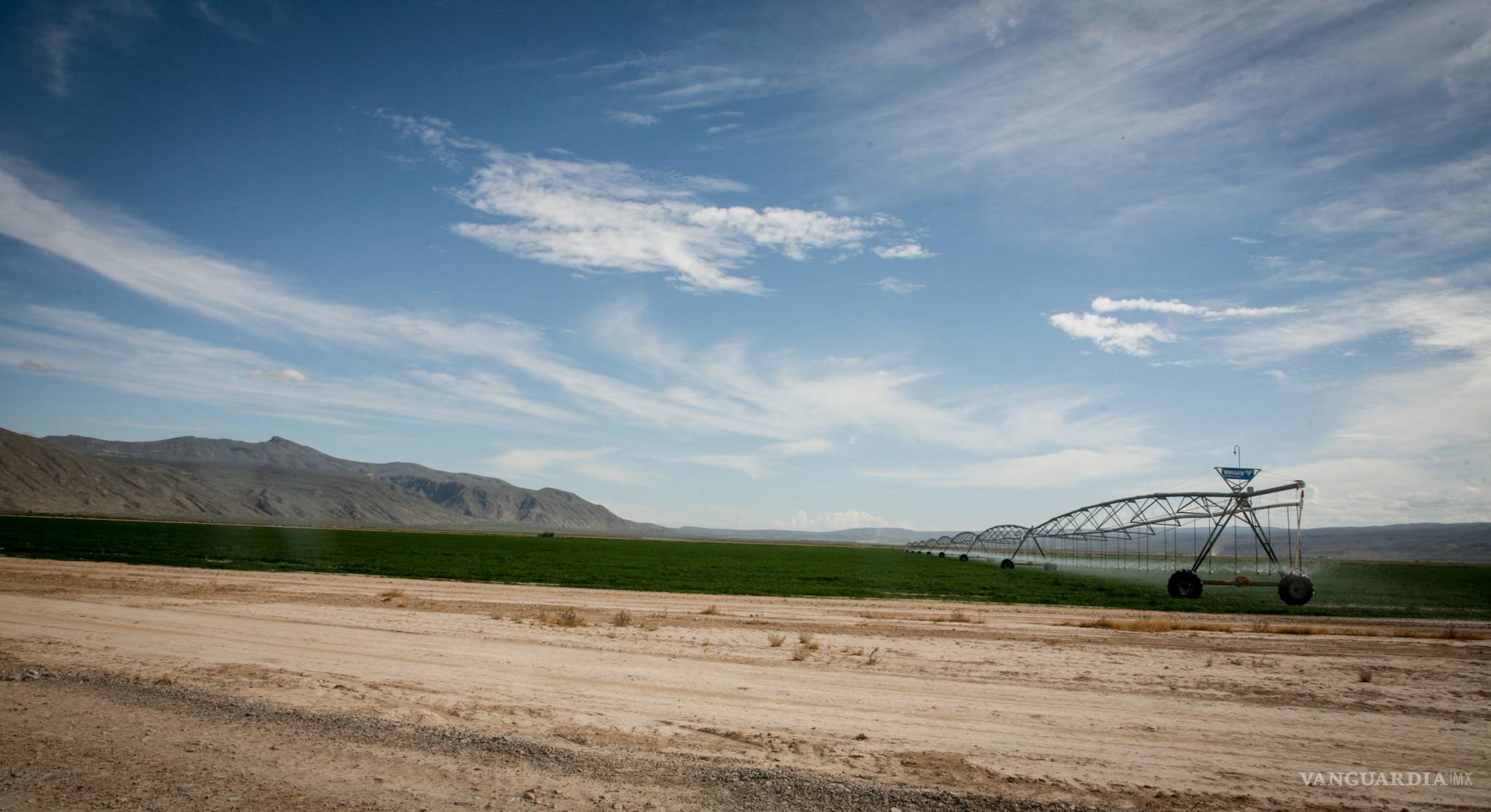 $!Empresa lechera se adueña de ejido en Cuatro Ciénegas