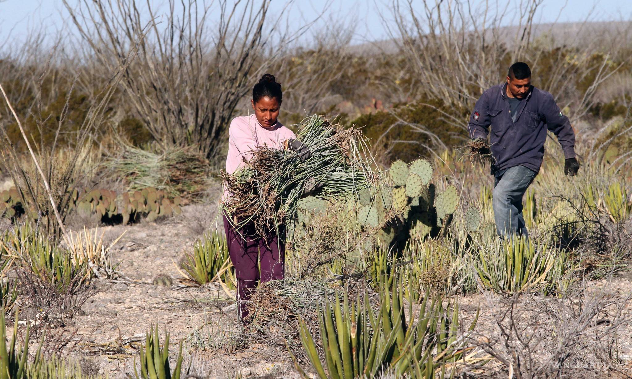 $!La historia de un kilómetro de carretera que se convierte en un pueblo