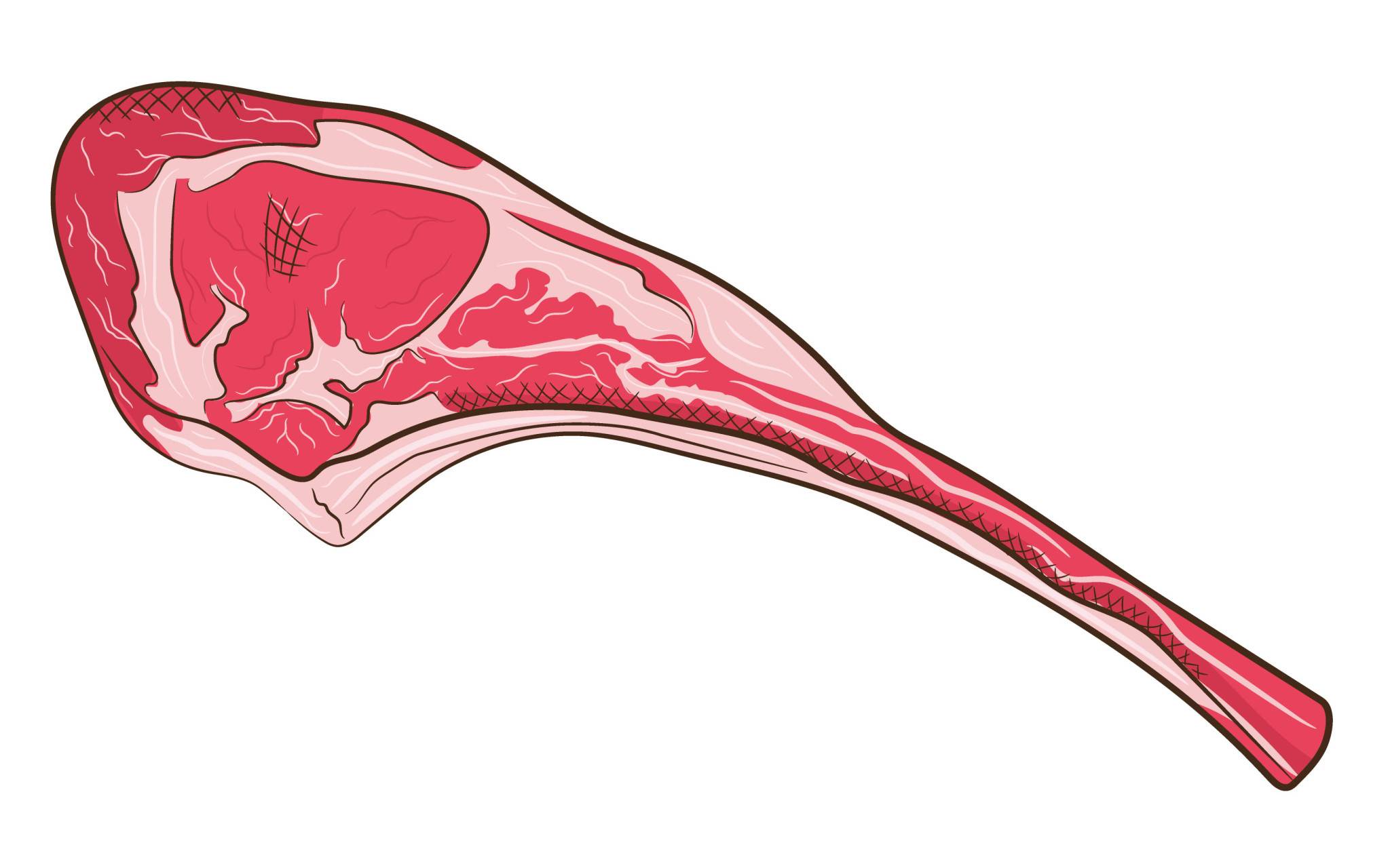 $!¡Prende el carbón! Aquí te decimos cómo hacer la mejor carne asada para festejar a papá