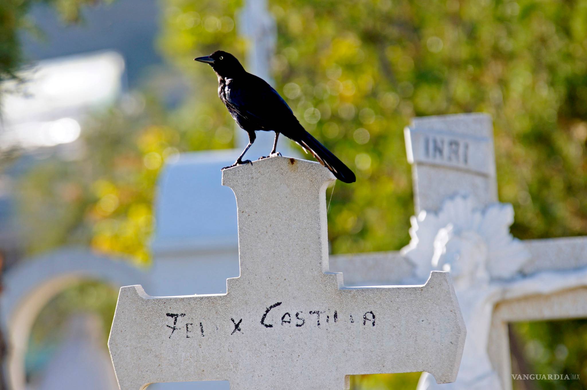 $!Camposantos (Fotogalería)