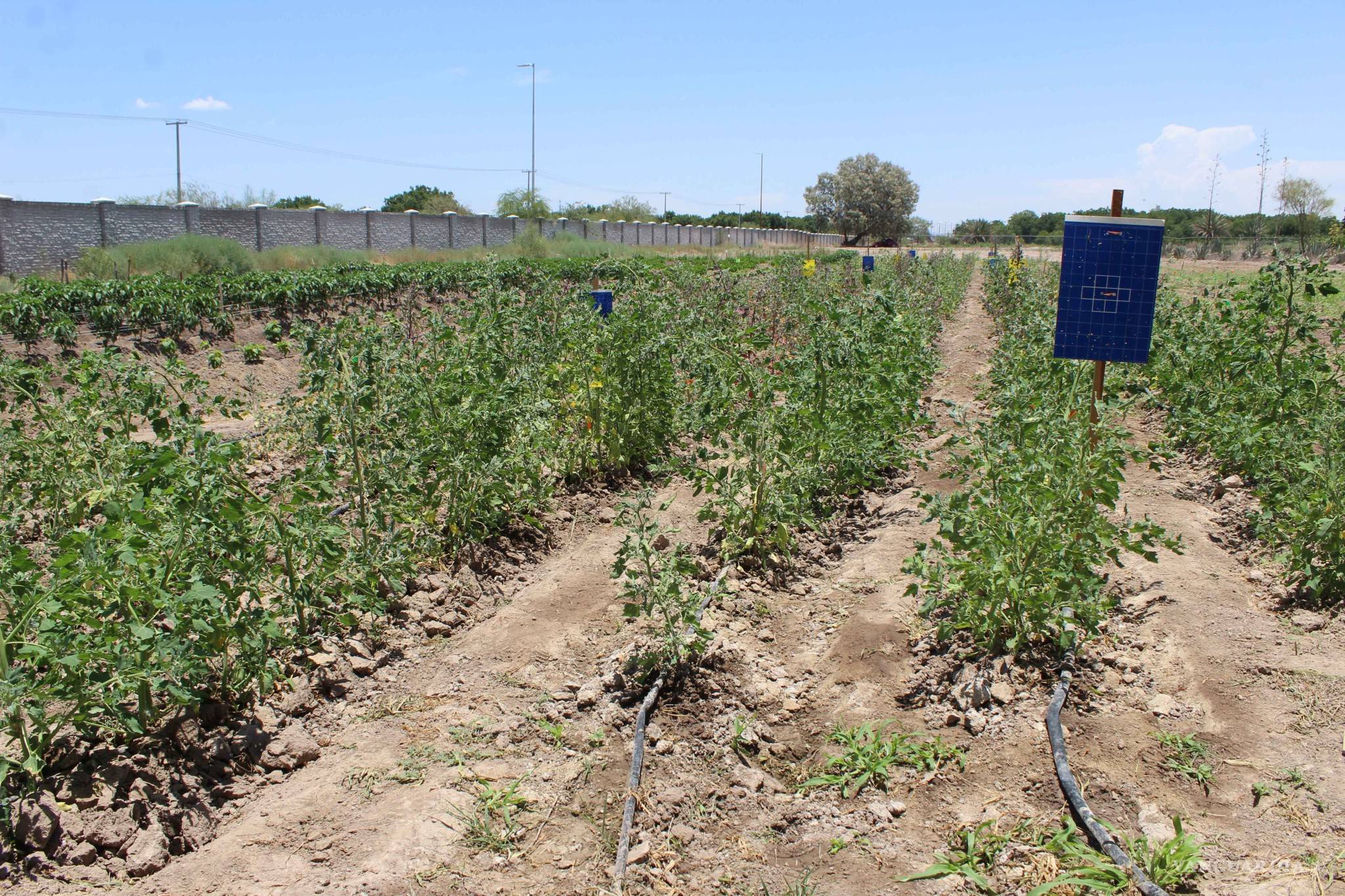 $!Coahuila, un estado con tinacos vacíos