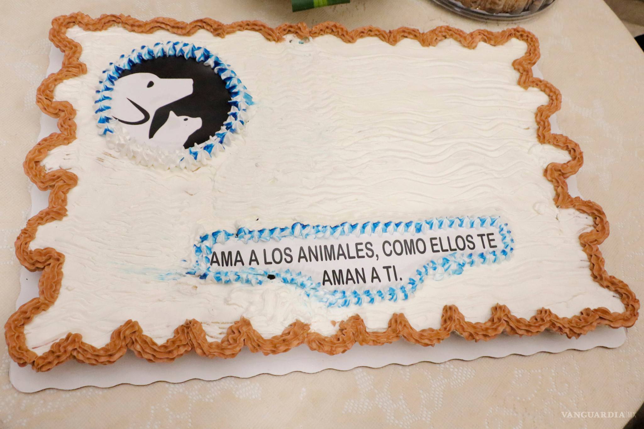 $!Erizos, iguanas, perros y gatos han sido consentidos en esta Veterinaria de Saltillo que estrena sede