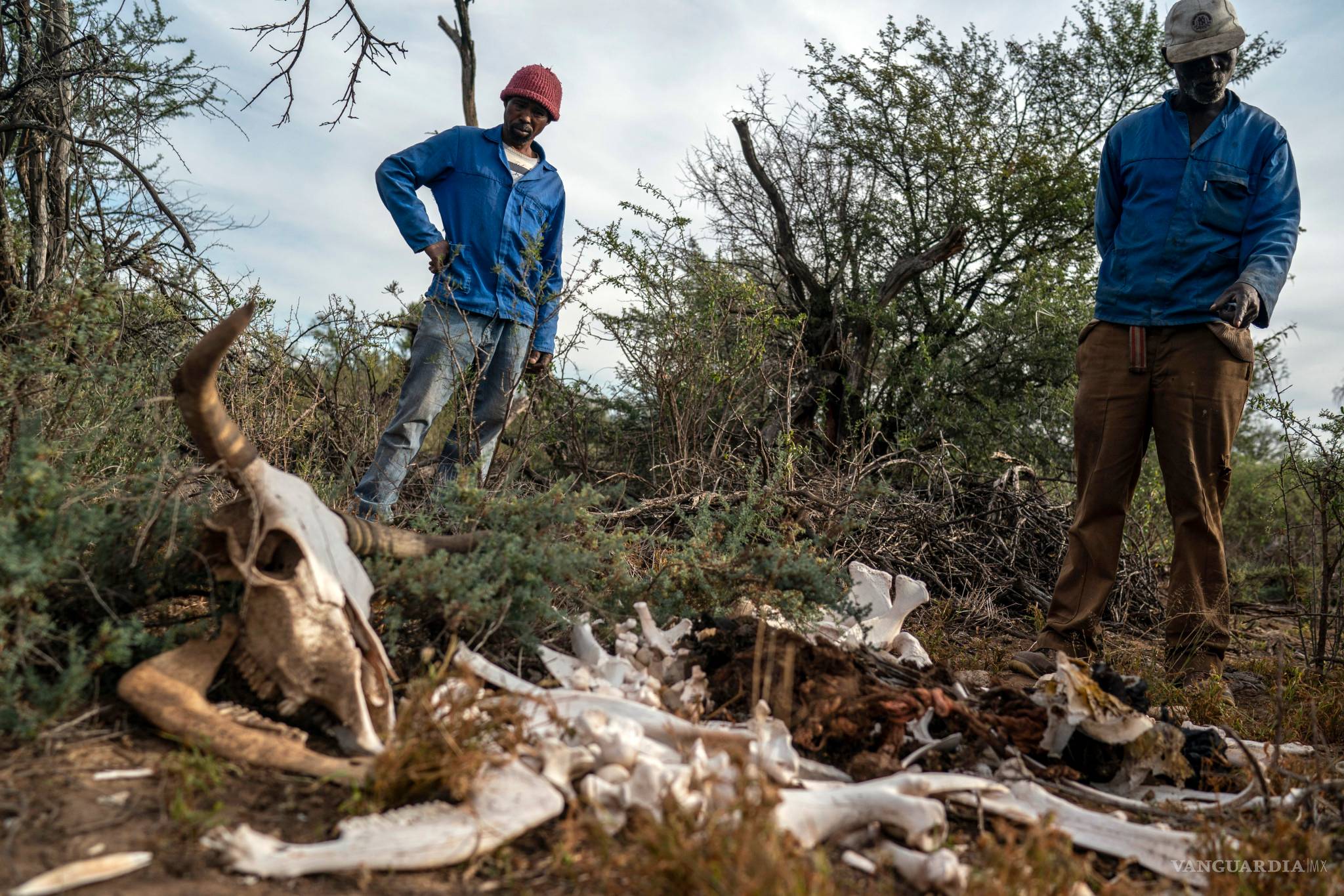 $!Pandemia avanza… hambruna se agrava