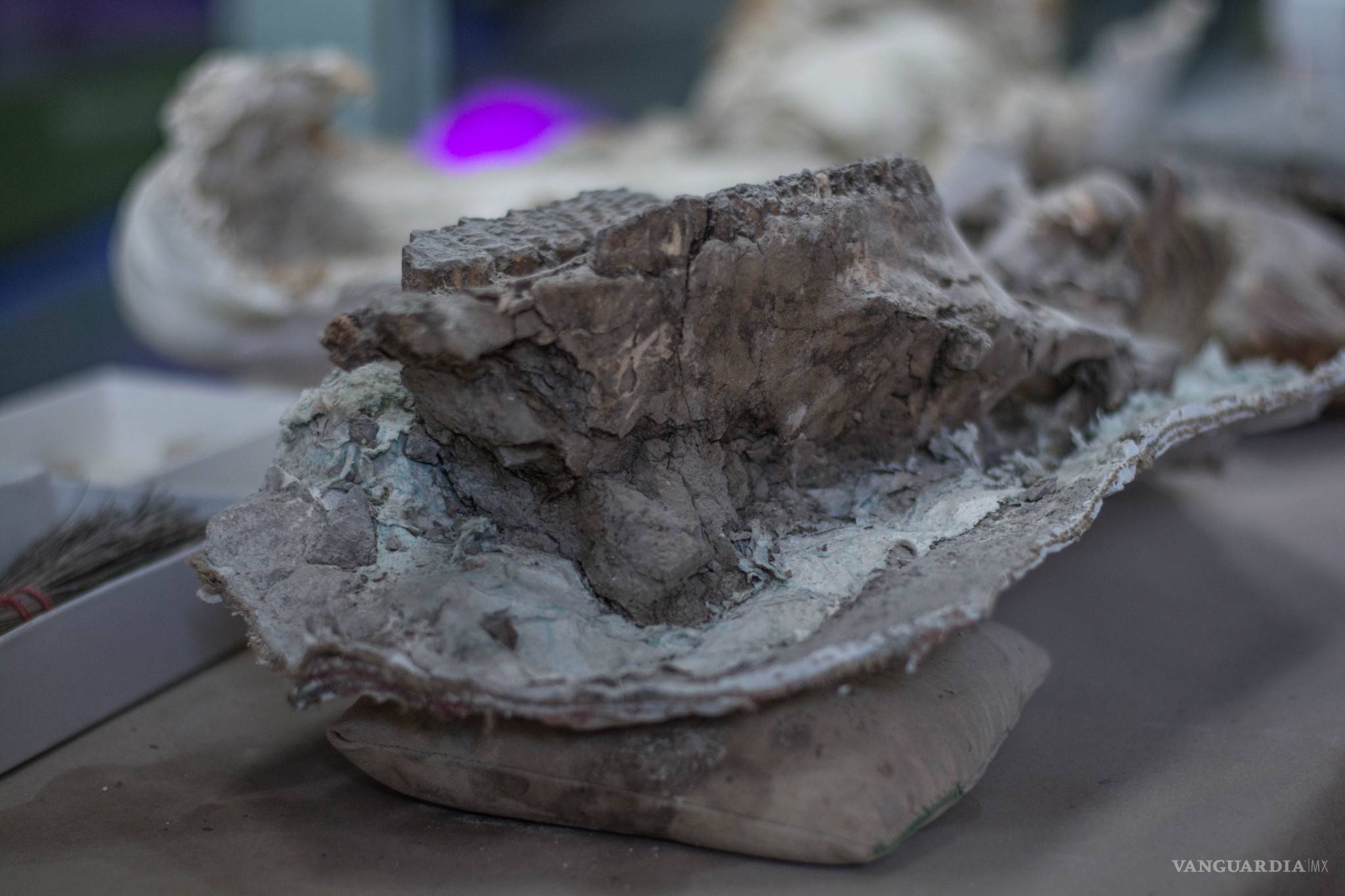 $!Saltillo, antes de ser Saltillo...