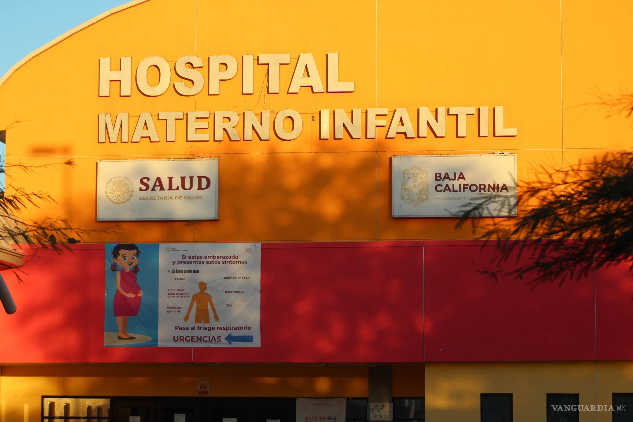 $!Funcionario de Baja California obtiene contratos millonarios al margen de la ley