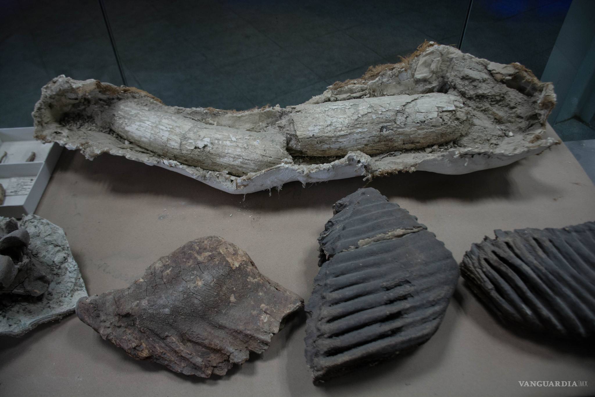 $!Saltillo, antes de ser Saltillo...