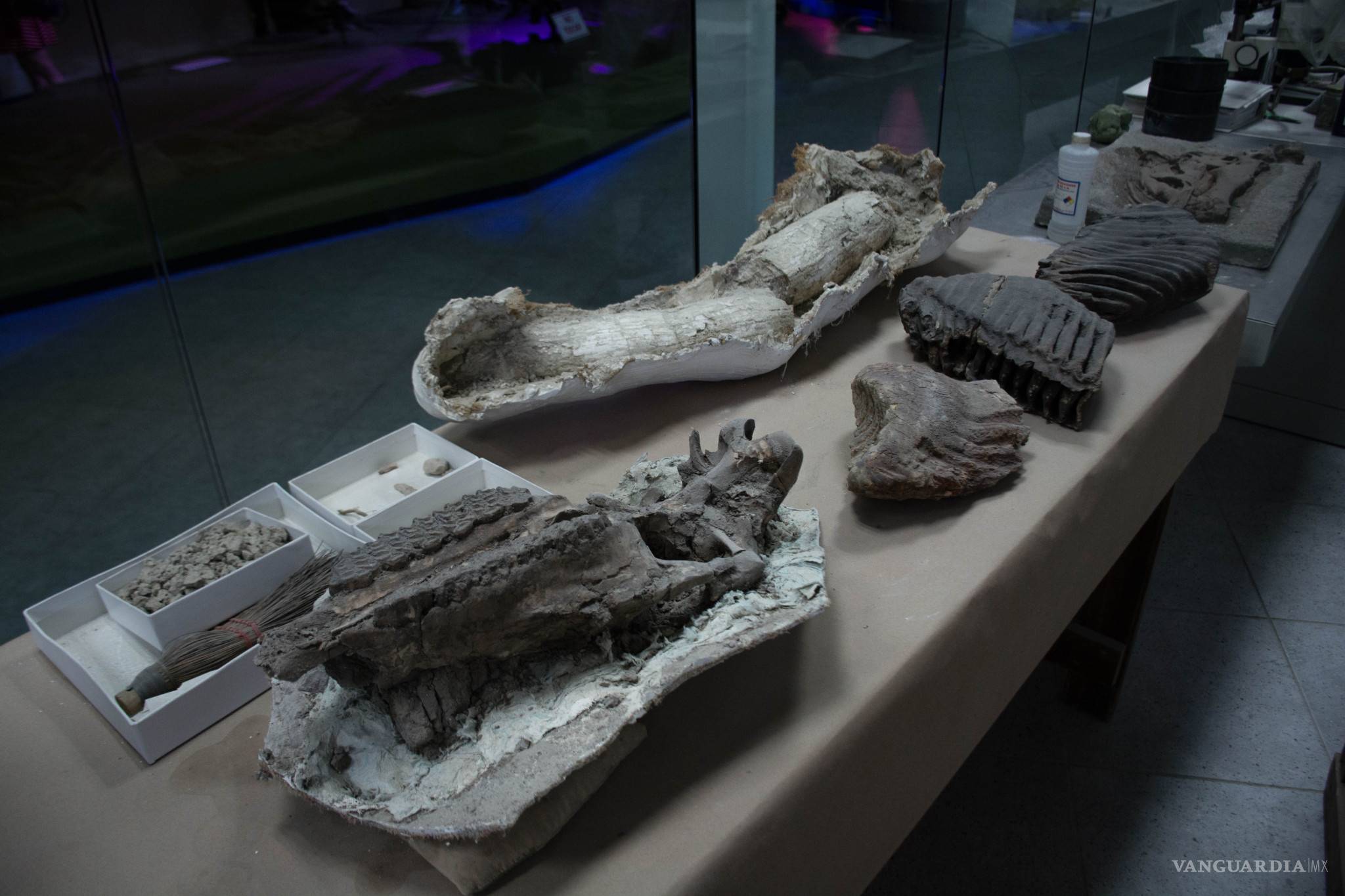 $!Saltillo, antes de ser Saltillo...