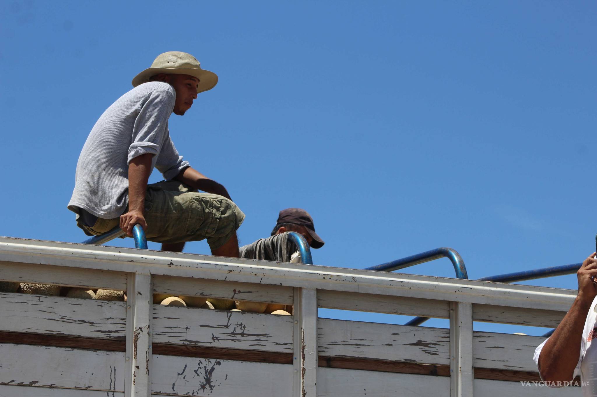 $!¿Qué hay detrás del melón más sabroso de México?