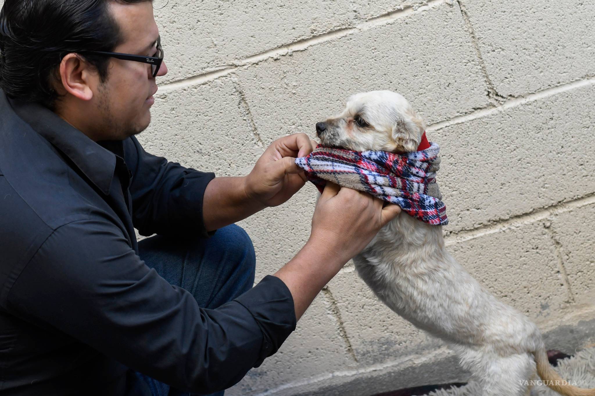 $!Por esta razón las mascotas no son un regalo que puedes desechar
