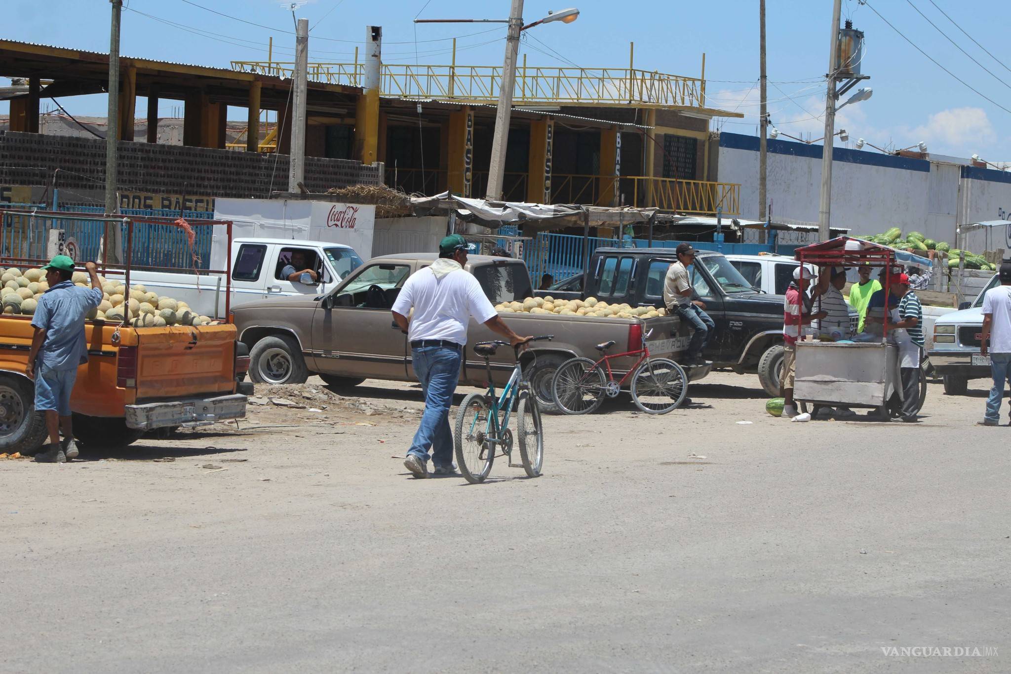 $!¿Qué hay detrás del melón más sabroso de México?