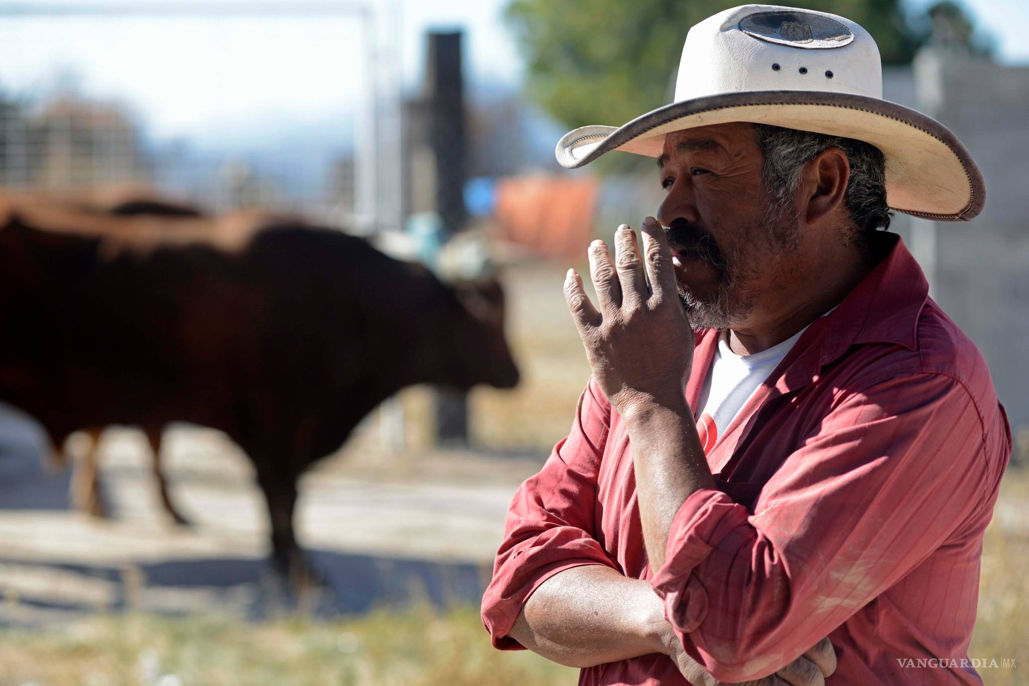 $!‘Ranchobreros’: 18 horas de trabajo, 6 para ¿vivir? en Coahuila