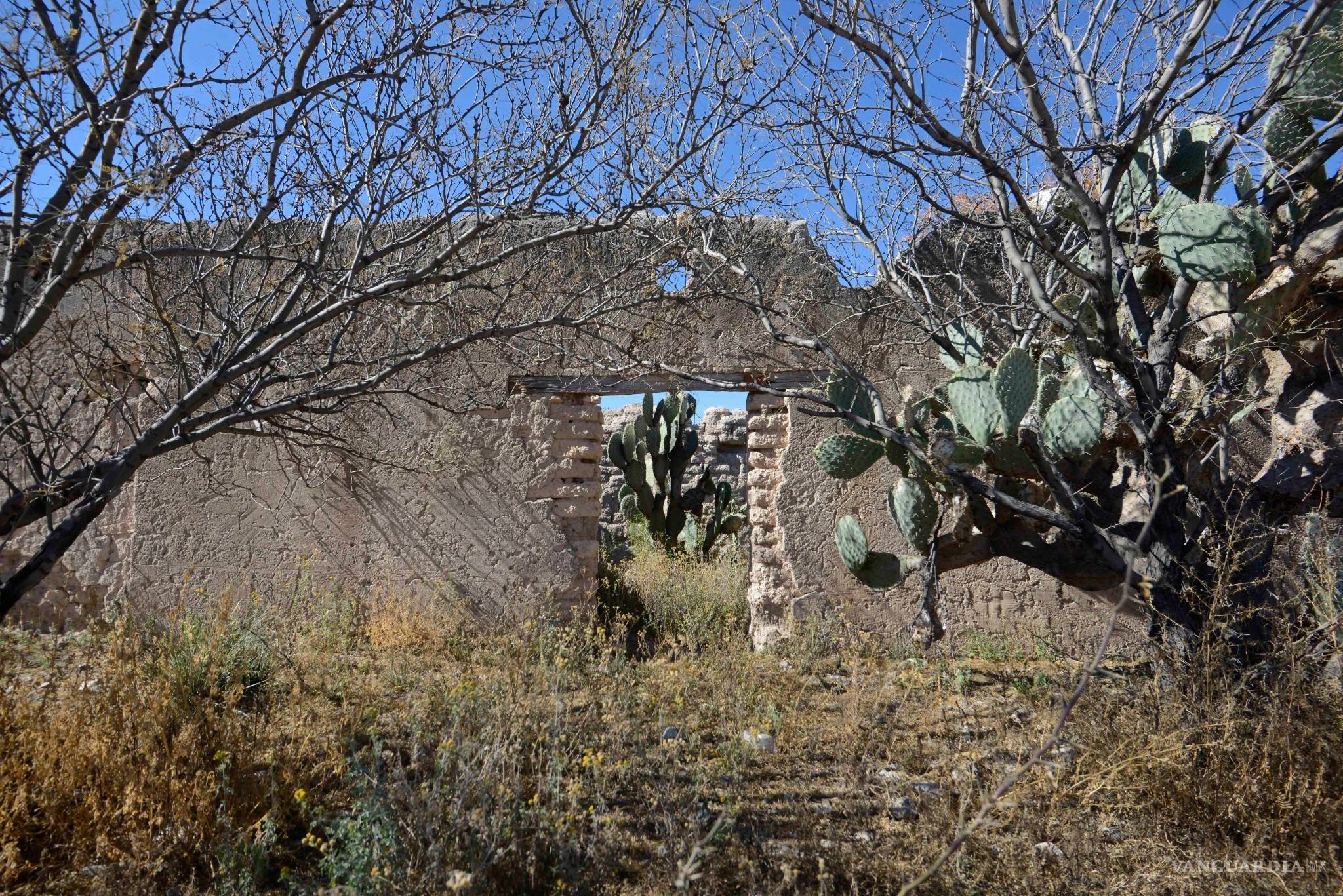 $!‘Ranchobreros’: 18 horas de trabajo, 6 para ¿vivir? en Coahuila