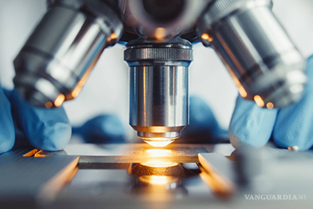 Investigadores del Politécnico logran eliminar el Virus del Papiloma Humano