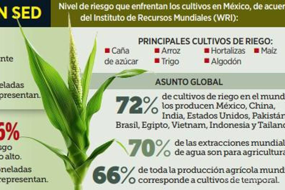 $!Pega crisis hídrica a 63% de cultivos