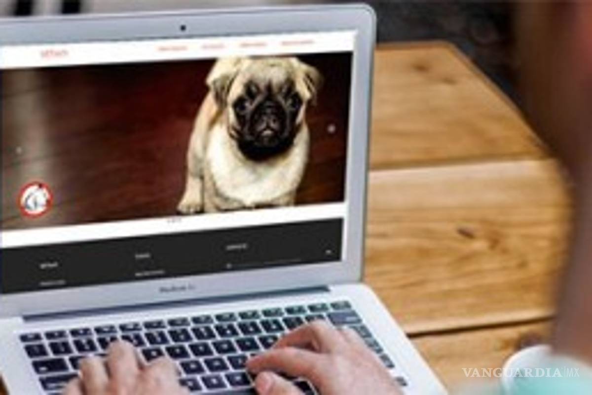 Crean aplicación para controlar población canina