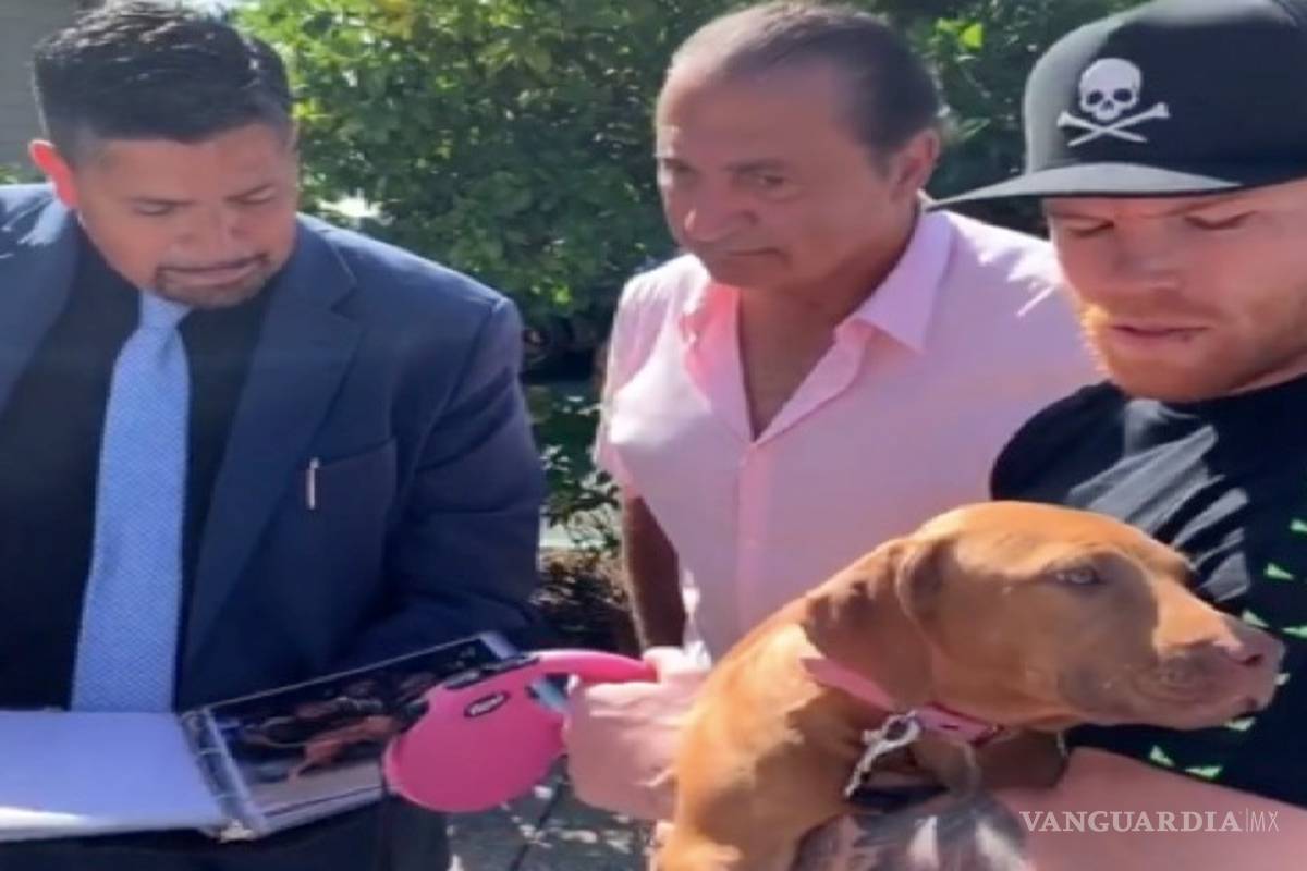'Gracias por el perro', dice Canelo Álvarez y le responden, '¿cuál gracias? son 150 mil dólares'