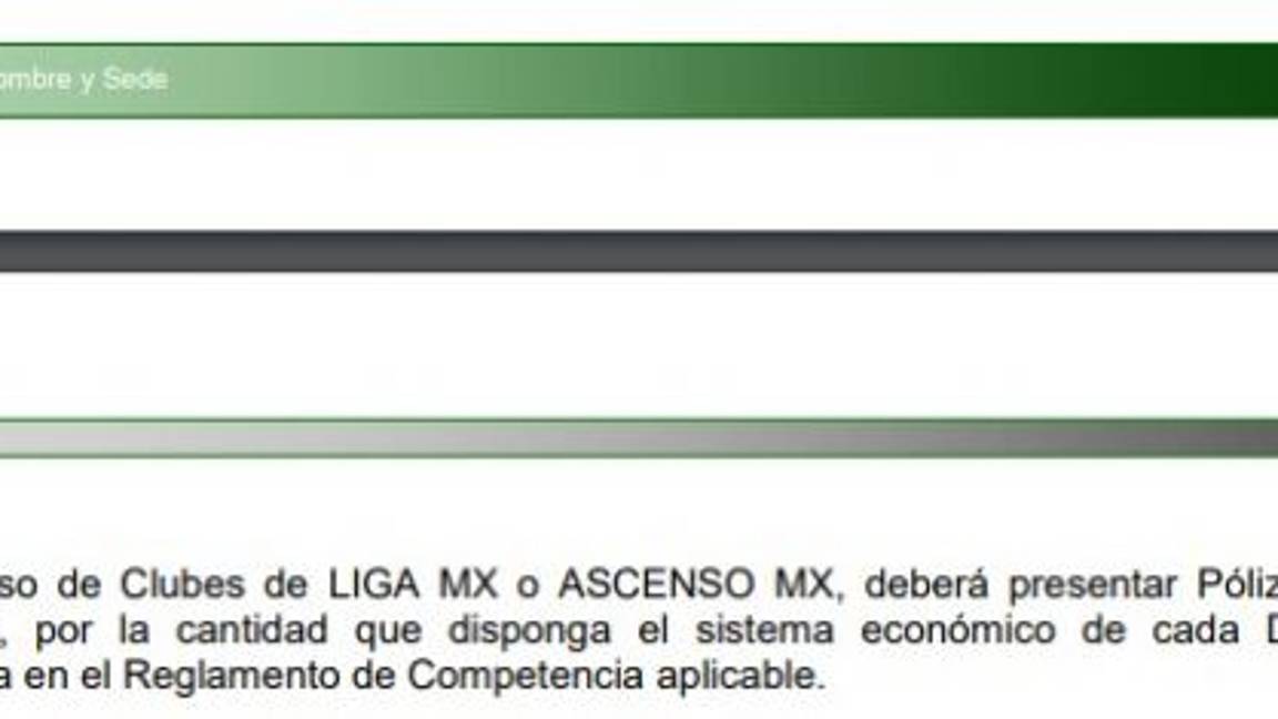 $!Jugadores del Veracruz siguen sin cobrar adeudos...Liga MX sería la culpable