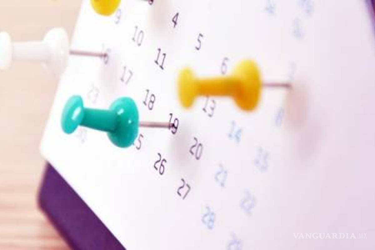 Alista gobierno de AMLO nuevos 'puentes', dice la Secretaría de Turismo