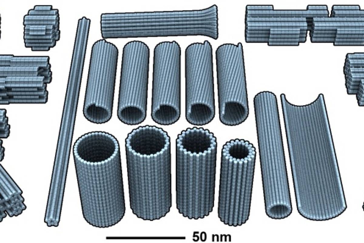 $!Nanobots, robots de ADN que permitirán curar heridas, desobstruir arterias y administrar medicamentos