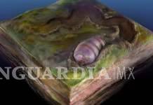 $!Tu jugo del día: ¿Hasta septiembre terminará la epidemia?