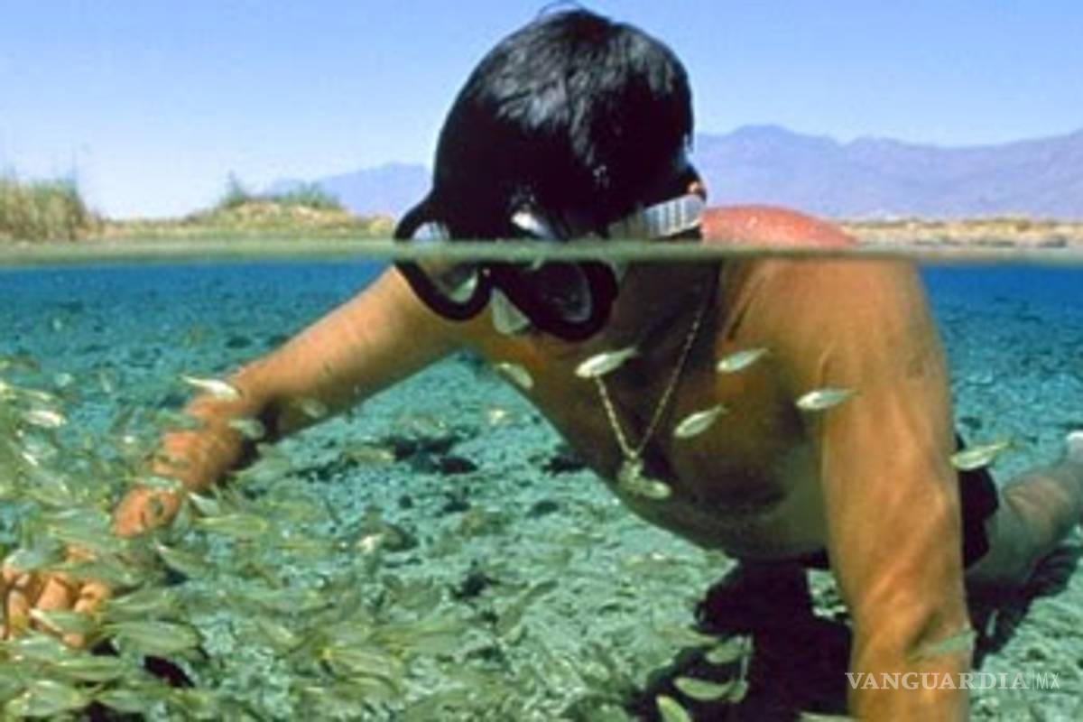 En Coahuila 'reviven' la Secretaría de Turismo