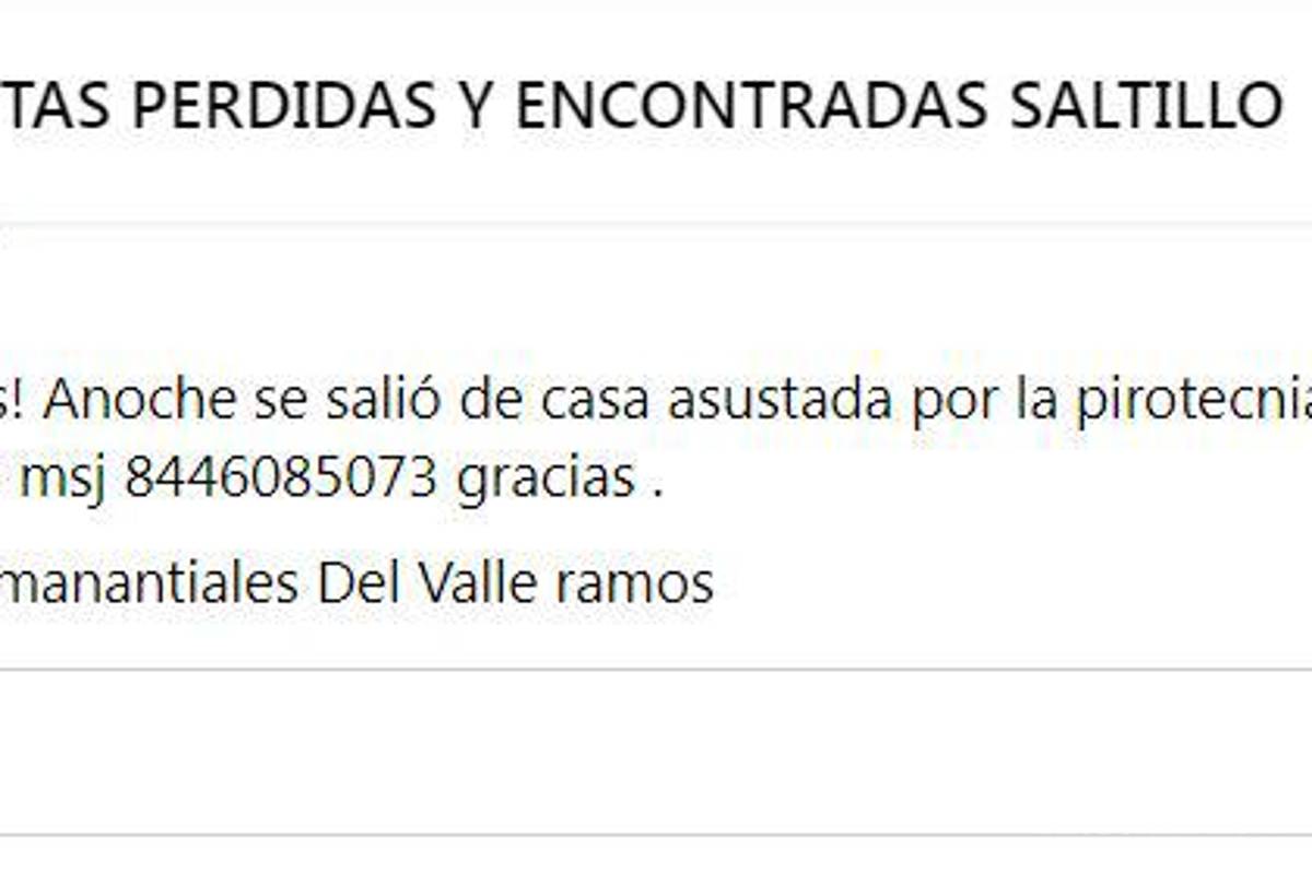 A dos días de Noche Buena continúa búsqueda de cachorros que huyeron por pirotecnia en Saltillo