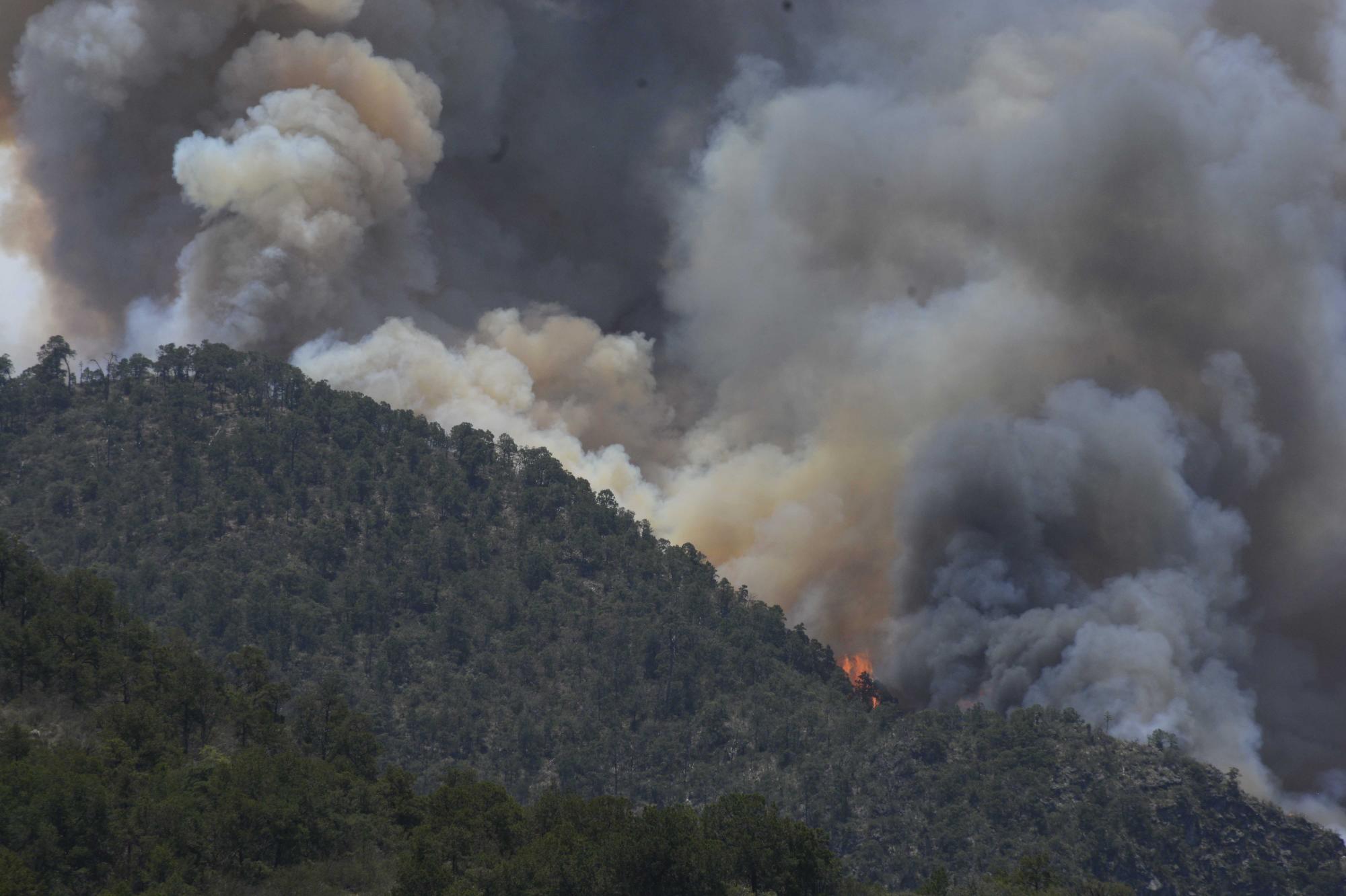 Batalla contra el fuego: Coahuila sofoca cuatro incendios forestales y continúa el combate en 8 más. Noticias en tiempo real