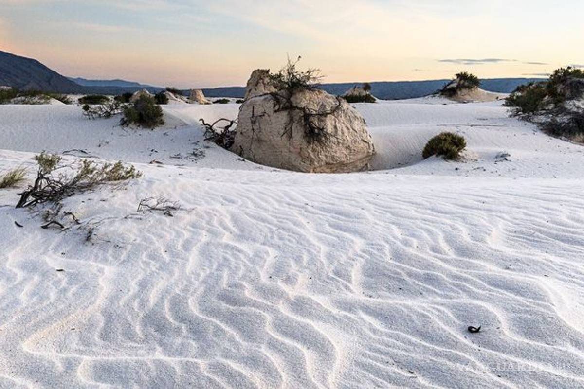 Con educación se salva Cuatro Ciénegas, afirma bióloga