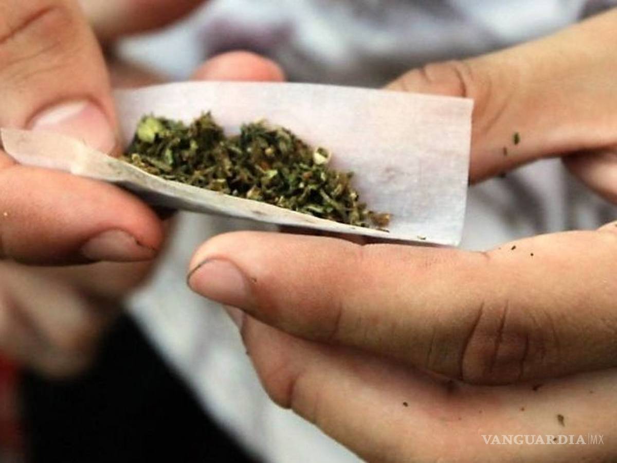 $!La mariguana no es tan adictiva, asegura experta