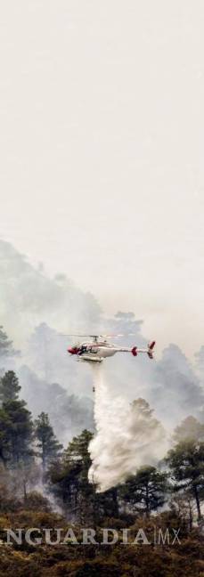 $!Catástrofe. El incendio de la Sierra de Arteaga, en 2021, acumuló un aproximado de 12 mil hectáreas de bosque afectadas en los estados de Coahuila y Nuevo León.