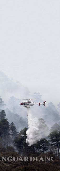 Clima ‘ideal’ en Coahuila para incendios forestales; hace mucho calor y poca humedad