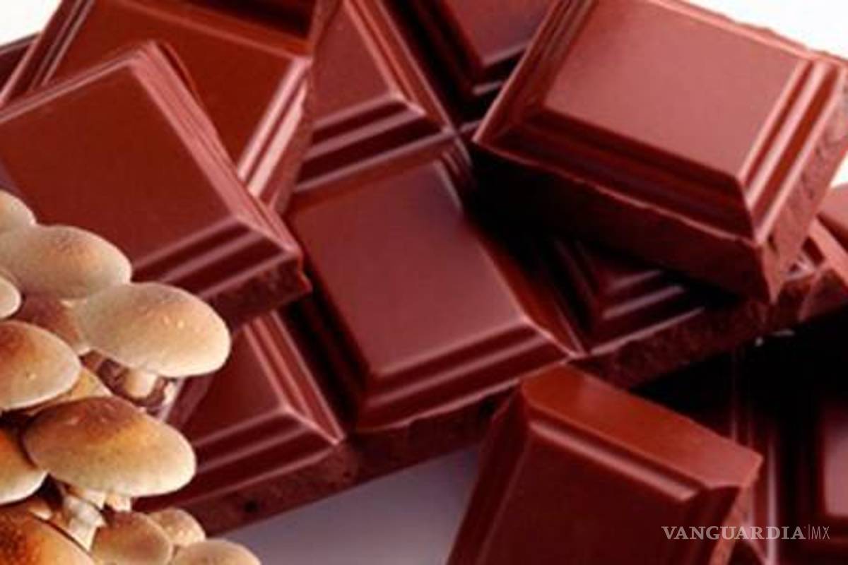 Coahuila: alertan por consumo de ‘chocohongos’; puede desarrollar esquizofrenia