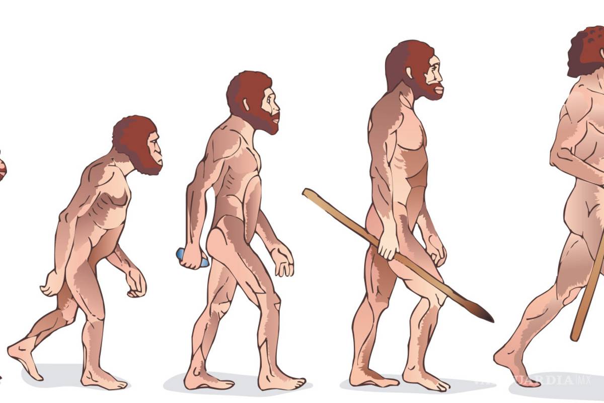 El fósil que cambió todo