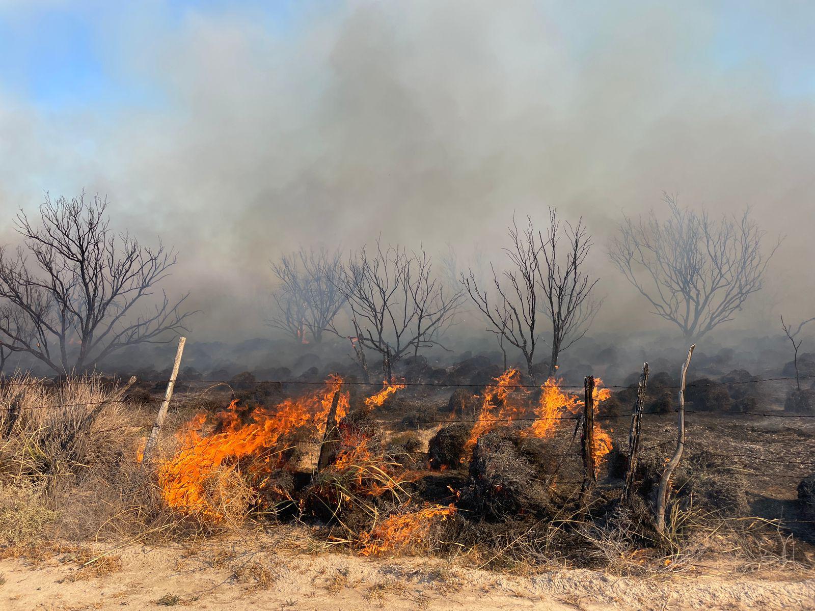 Incendio en San Buenaventura deja afectación en 65 hectáreas . Noticias en tiempo real