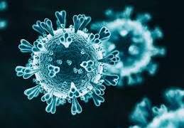 Los test de antígenos son un indicador fiable para detectar la presencia del virus