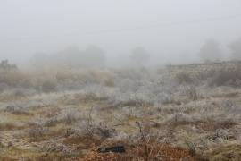 Frente frío 27 deja temperaturas bajo cero en la Región Sureste