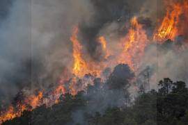De acuerdo con el Programa Nacional de Manejo del Fuego 2020-2024, en la última década los efectos del cambio climático han incidido en la frecuencia y la propagación de los incendios forestales.