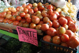 Por heladas precio del tomate sube hasta 40% en Saltillo