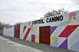 El Centro de Control Canino invita a la ciudadanía a donar croquetas y conocer a los perros en resguardo.
