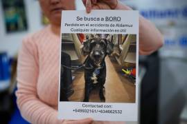 Una mujer sostiene un cartel con la frase “Se busca a Boro. Perdido en el accidente de Adamuz. Cualquier información es útil”, para tratar de dar con un perro desaparecido durante un accidente de trenes.