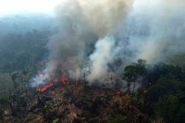 Un bosque arde en Amazonía, en el municipio de Manaquiri en el estado brasileño de Amazonas, el miércoles 6 de septiembre de 2023.