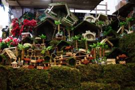 Cada diciembre, miles de familias en México salen al campo o a mercados locales para conseguir musgo natural.