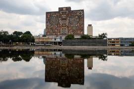 La empresa Territorium Life ha recibido en los últimos años docenas de contratos que suman más de 218 millones de pesos.