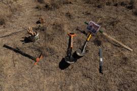 Señalan que la Segob aseguró que no se analizaron ni valoraron los esfuerzos institucionales.