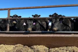 El presidente afirmó que se había comprometido a garantizar que la carne importada se vendería un 25% por debajo de las tarifas actuales del mercado, lo que la haría más barata para los consumidores de EU.