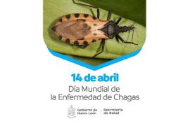 La enfermedad de Chagas es potencialmente mortal porque los parásitos invaden miocardio, colon y esófago, causan daño en el corazón y sistema digestivo
