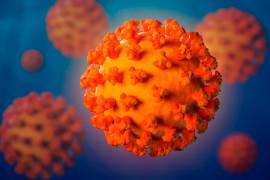 Lo más probable es que el virus del SARS-CoV-2 que causó la pandemia iniciada en 2020 se propagó debido a un accidente en un laboratorio chino, según las conclusiones de un estudio