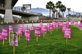 Coloca candidato propaganda electoral en jardineras de distribuidor vial de Saltillo